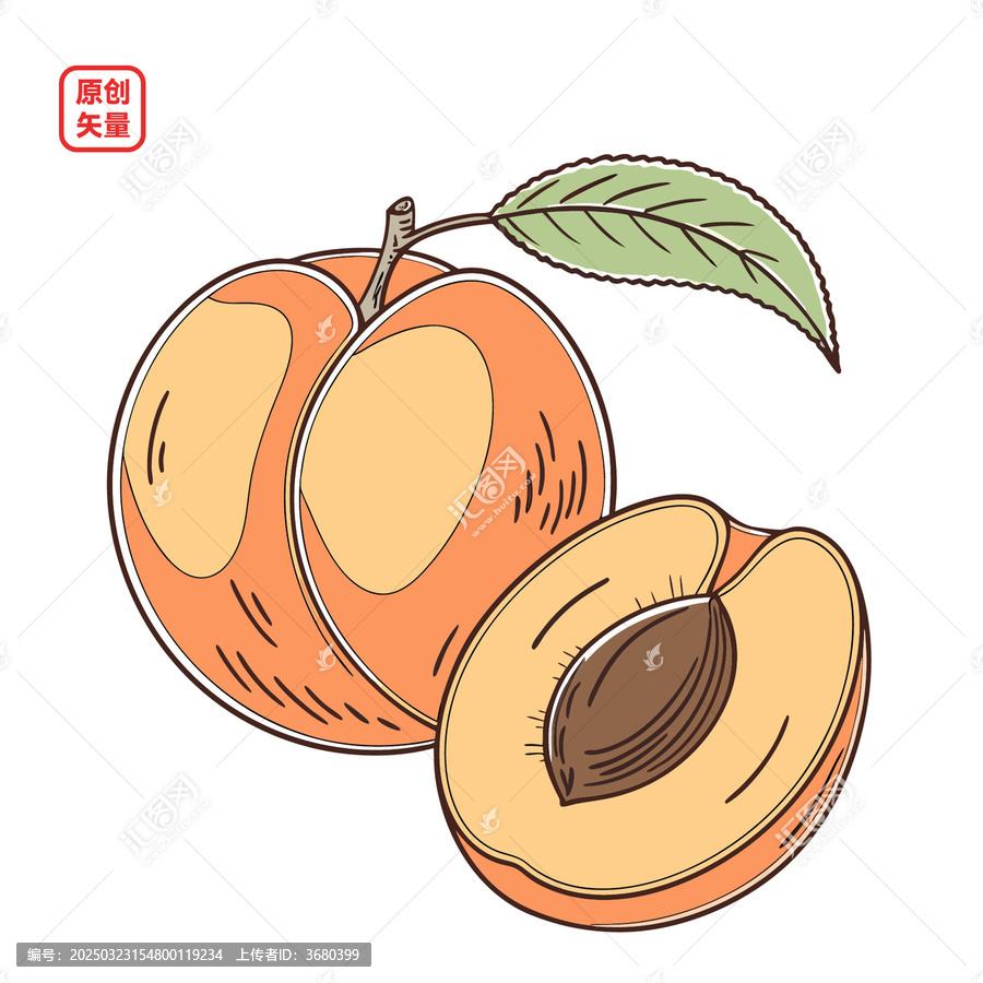 矢量插圖水果簡約美味甜杏