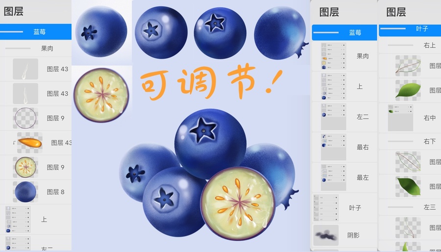 手繪藍(lán)莓插畫(huà)枝葉
