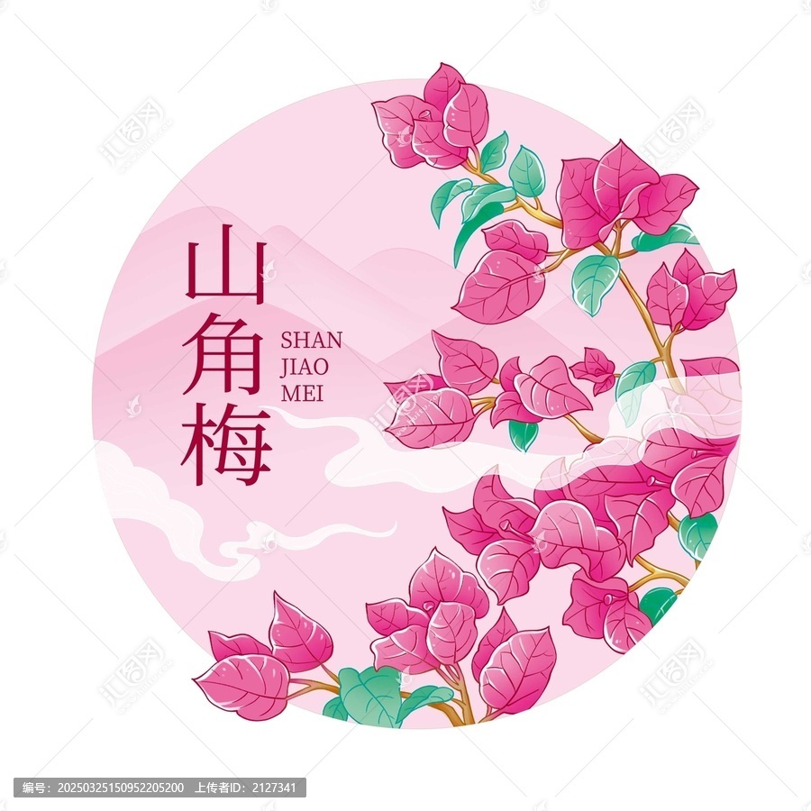 三角梅