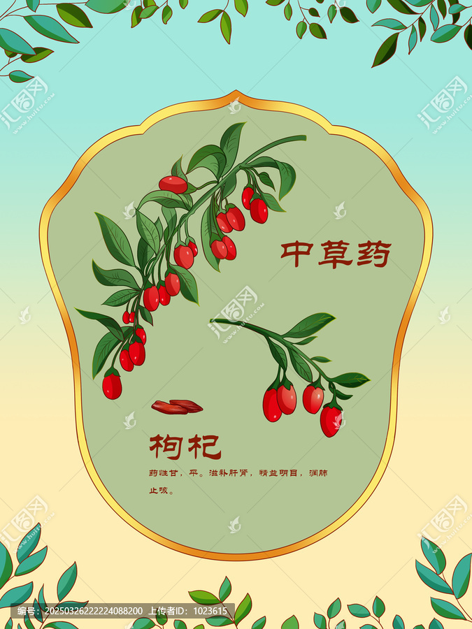 中草藥插圖主題枸杞