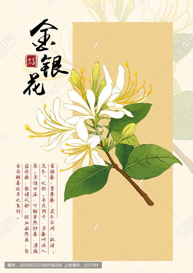 金銀花