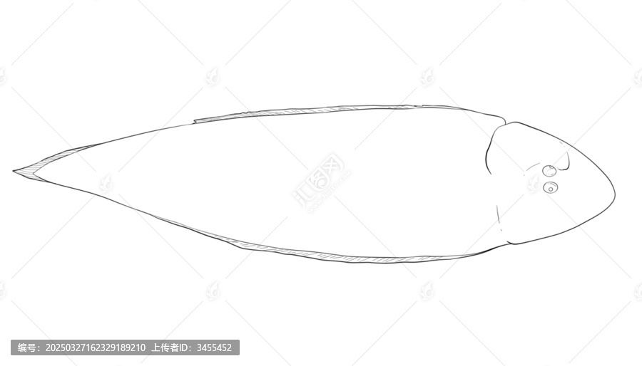 龍利魚