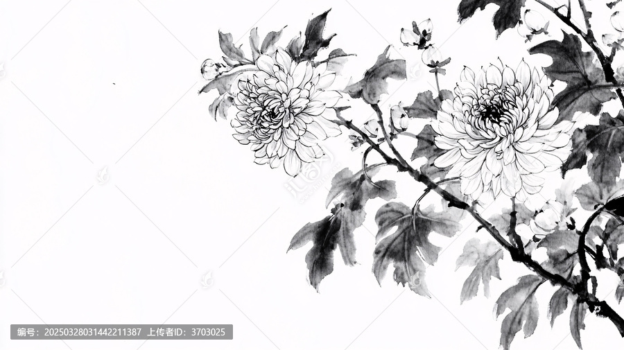 秋菊水墨