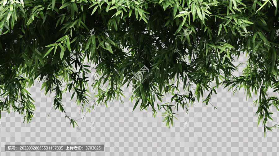 竹葉竹枝素材