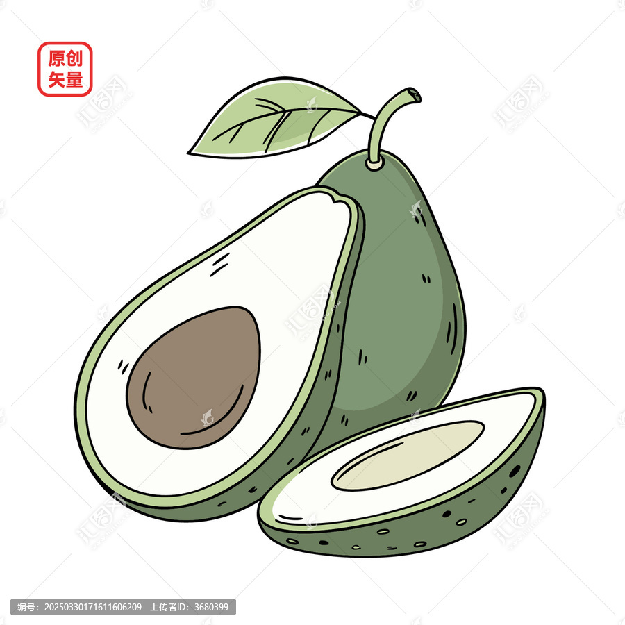 矢量插圖簡(jiǎn)約水果鱷梨