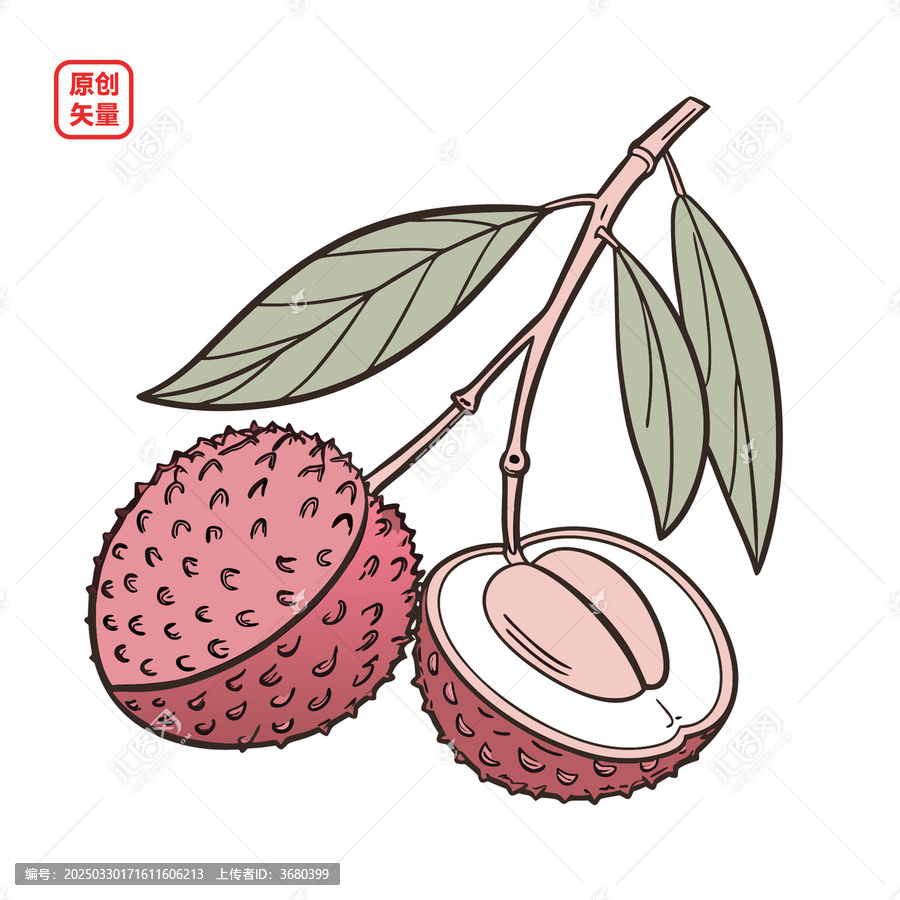 矢量插圖簡(jiǎn)約水果荔枝