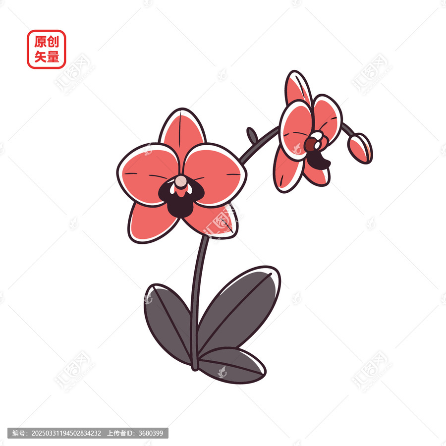 矢量插圖植物簡約蘭花