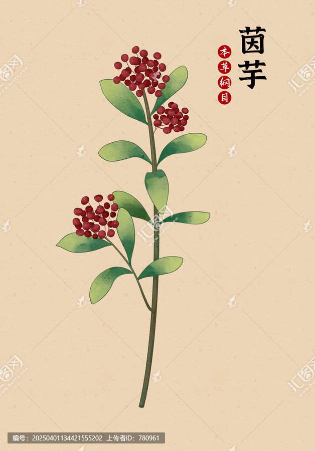 茵芋