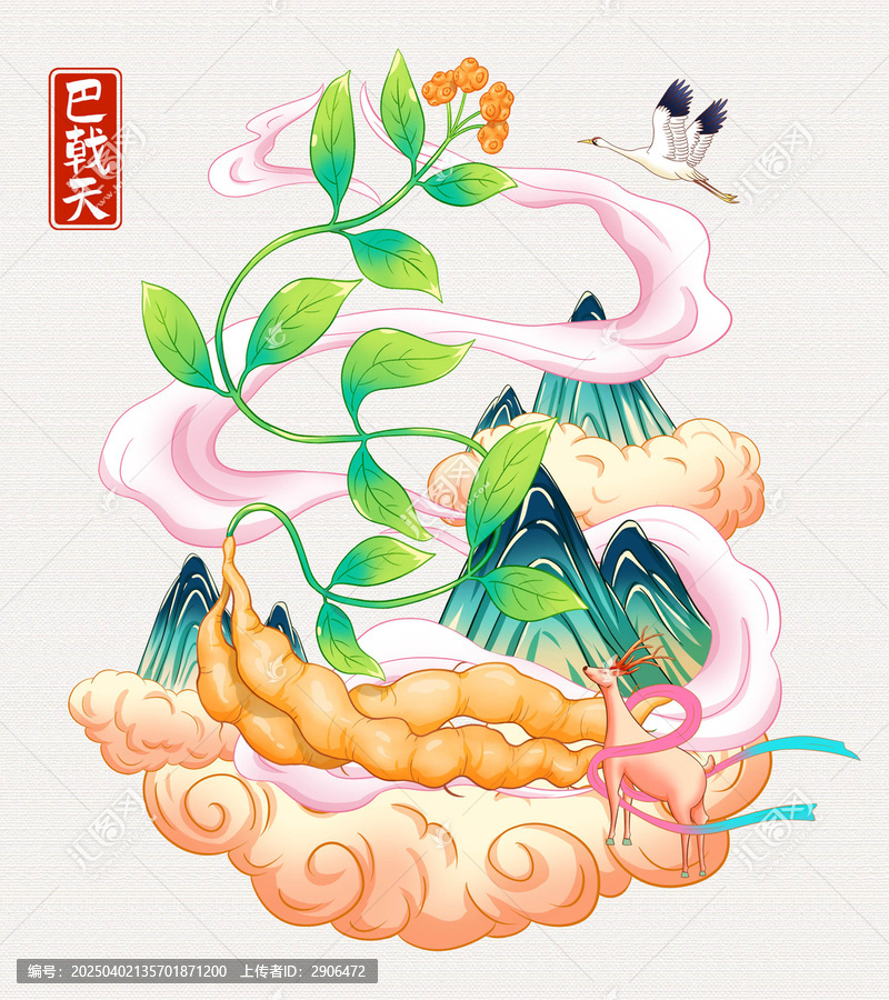 巴戟天插畫手繪