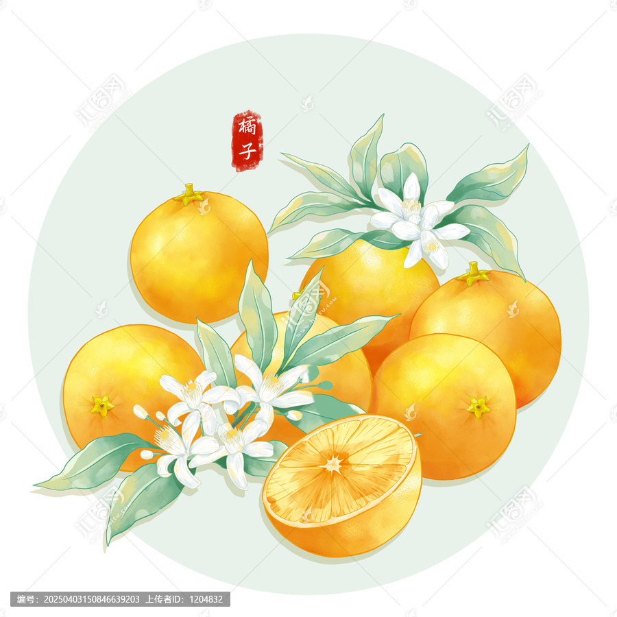手繪橘子包裝插畫