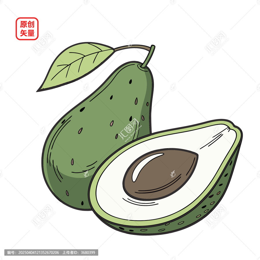 矢量插圖簡(jiǎn)約水果鱷梨