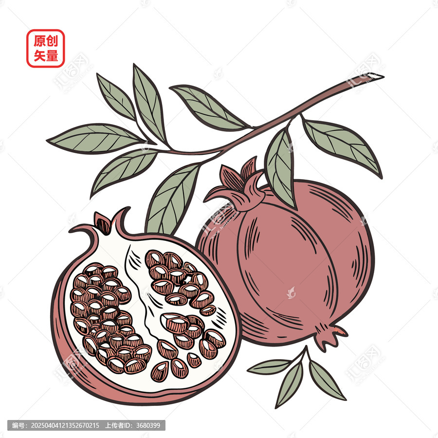 矢量插圖簡約水果石榴