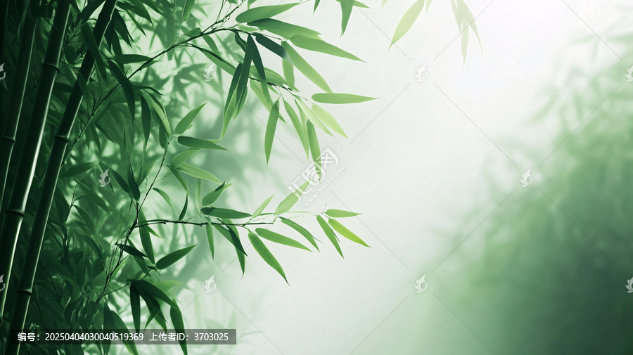 唯美竹影竹韻