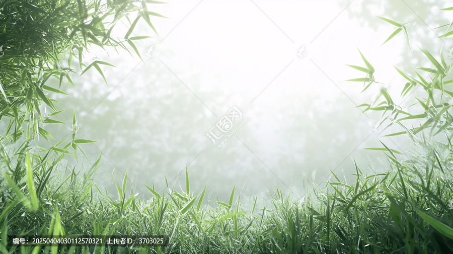 唯美竹葉背景