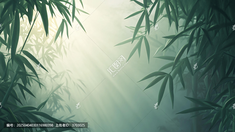 唯美竹影竹韻