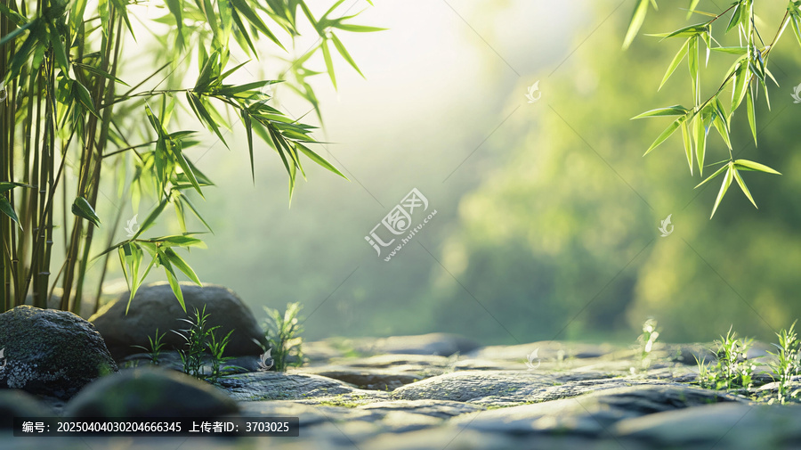 唯美竹林背景