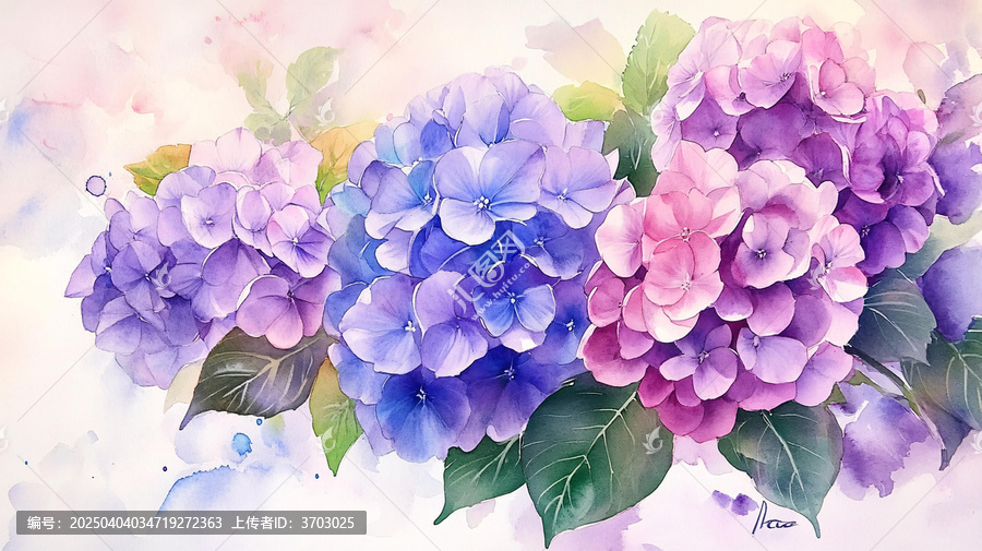 唯美繡球花背景