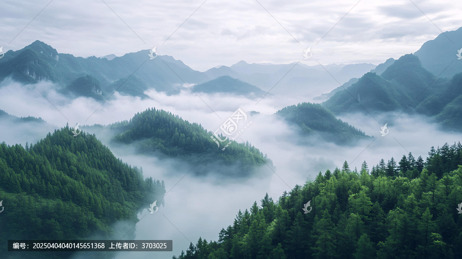白云竹海圖片素材