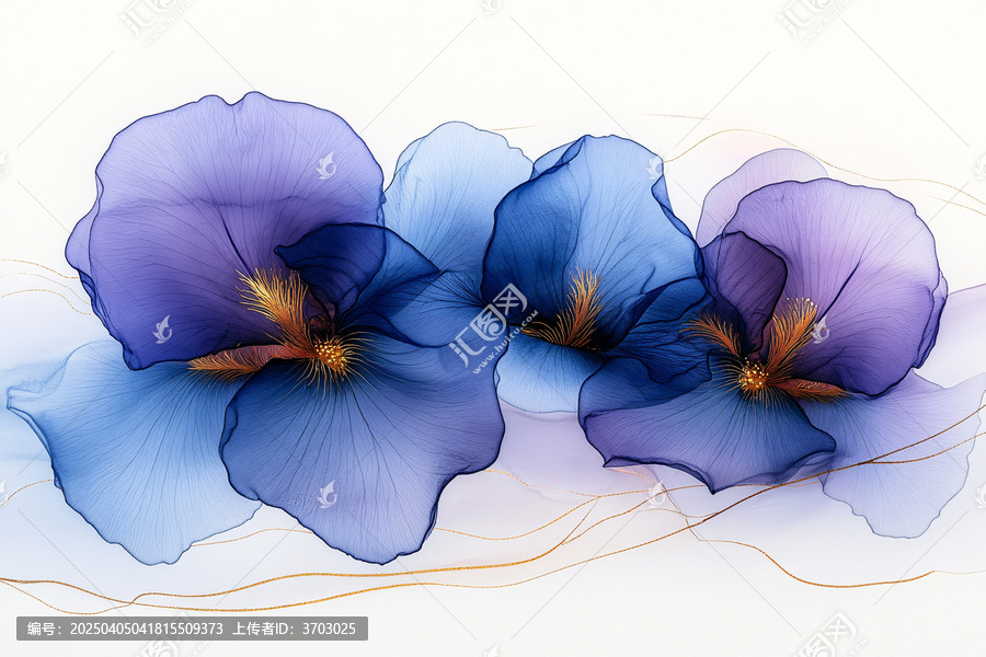 紫藍漸變鳶尾花
