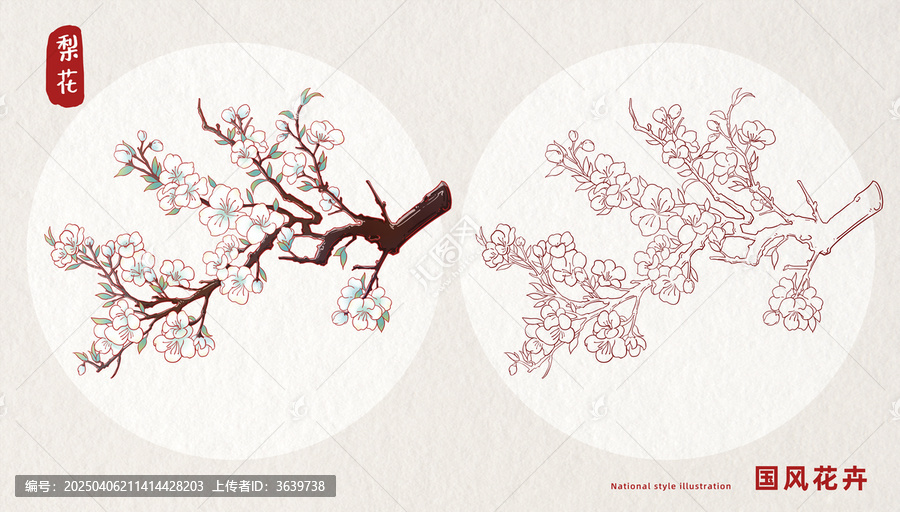 梨花插畫