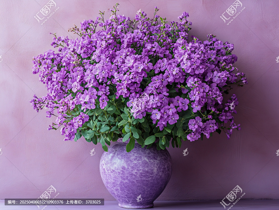 紫色花與紫色花瓶