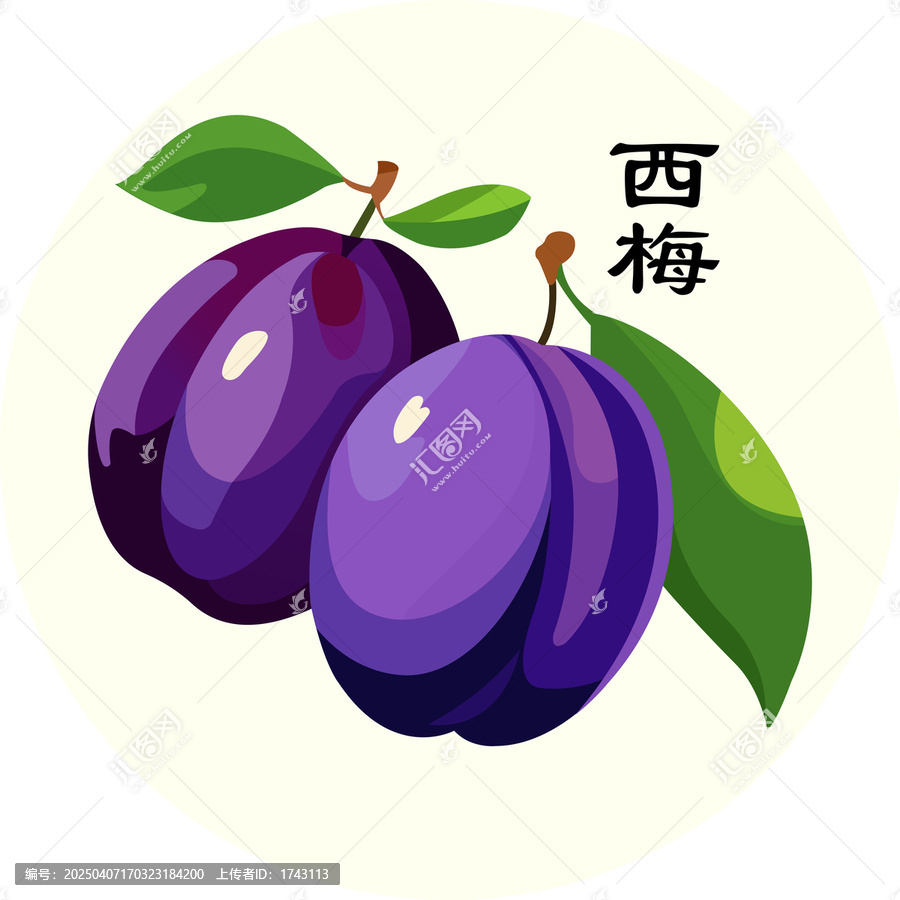 西梅插畫