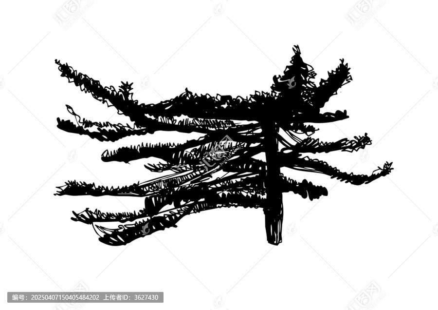 植物手繪黃山崖谷迎客松線稿矢量圖