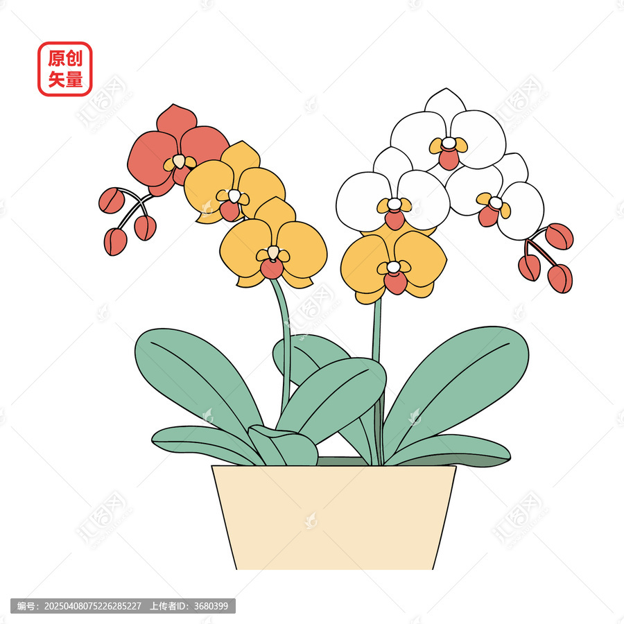 矢量插圖植物簡(jiǎn)約一盆蘭花
