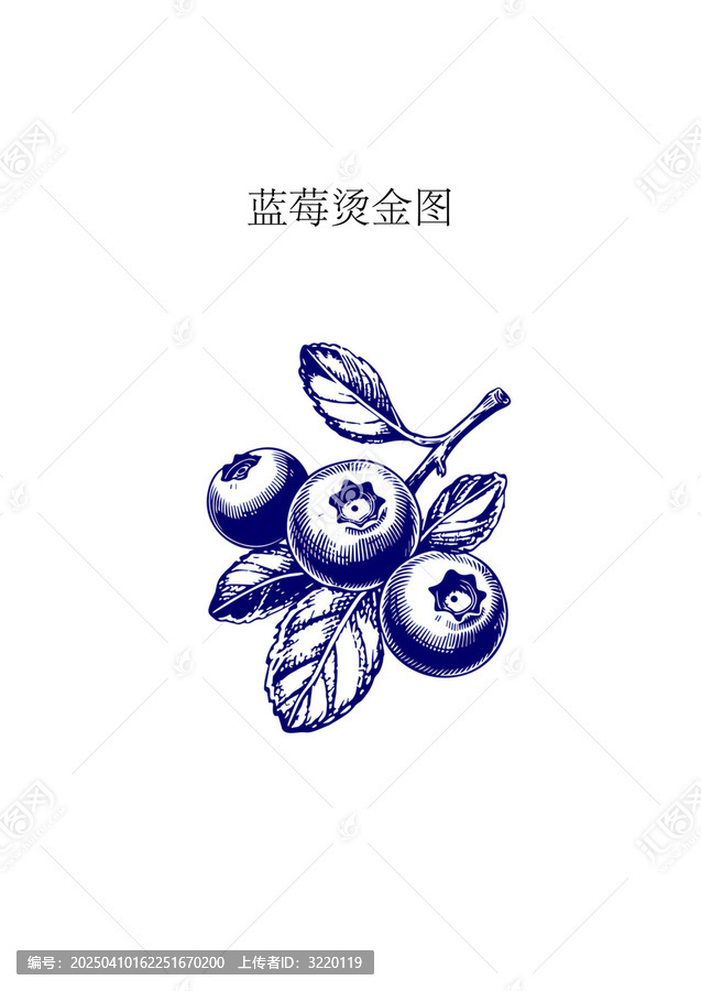 藍(lán)莓燙金版