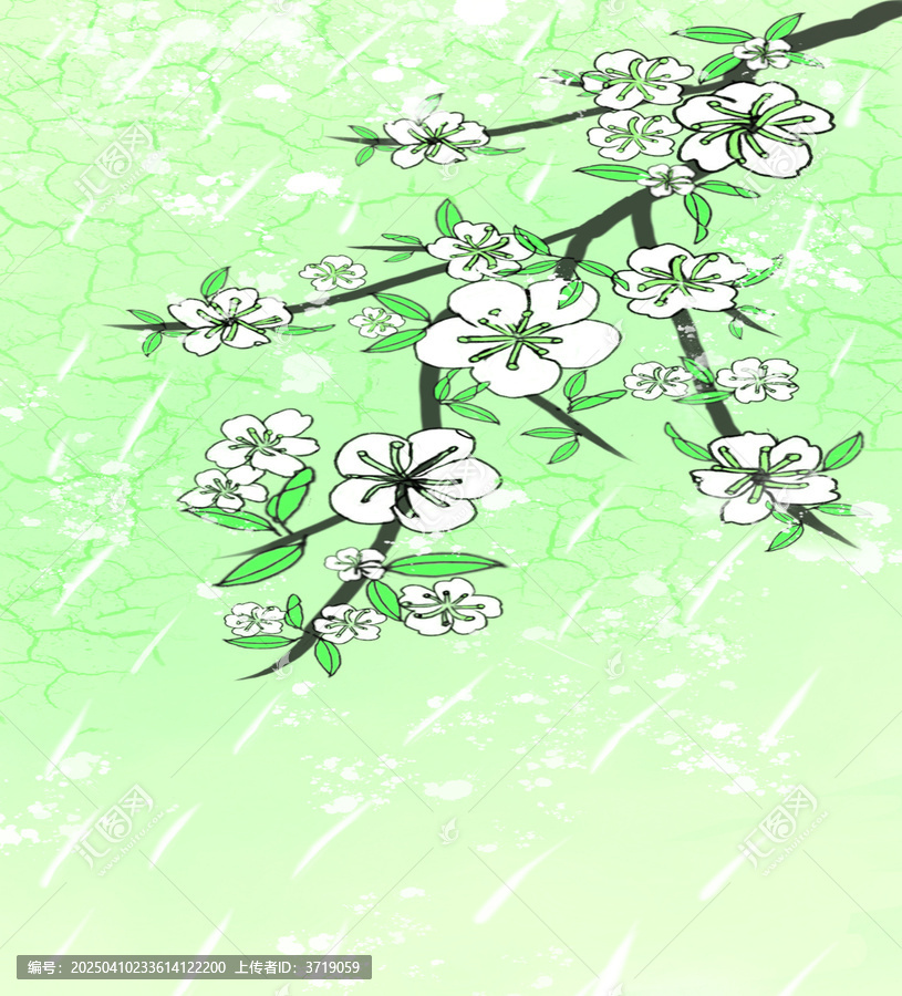 雨中梨花