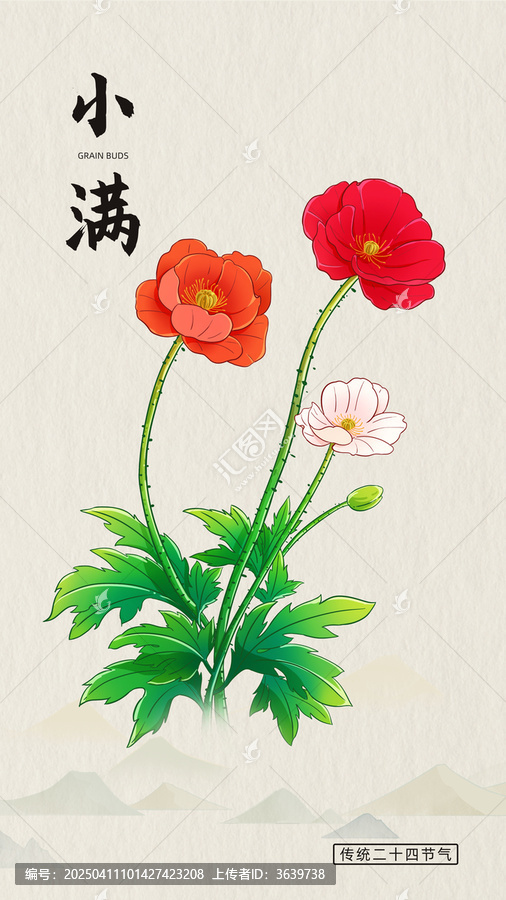小滿節(jié)氣插畫