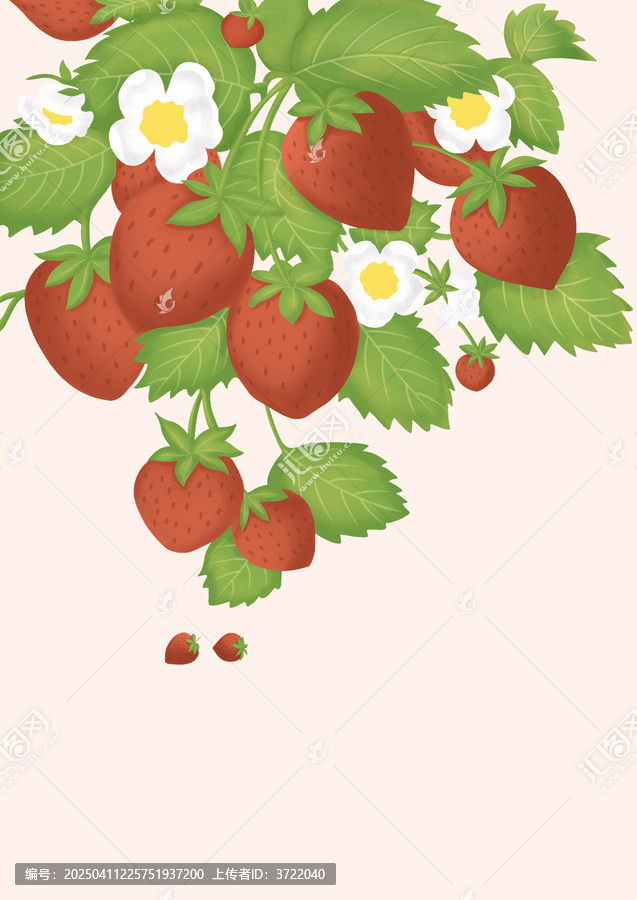 手繪草莓鮮果插畫