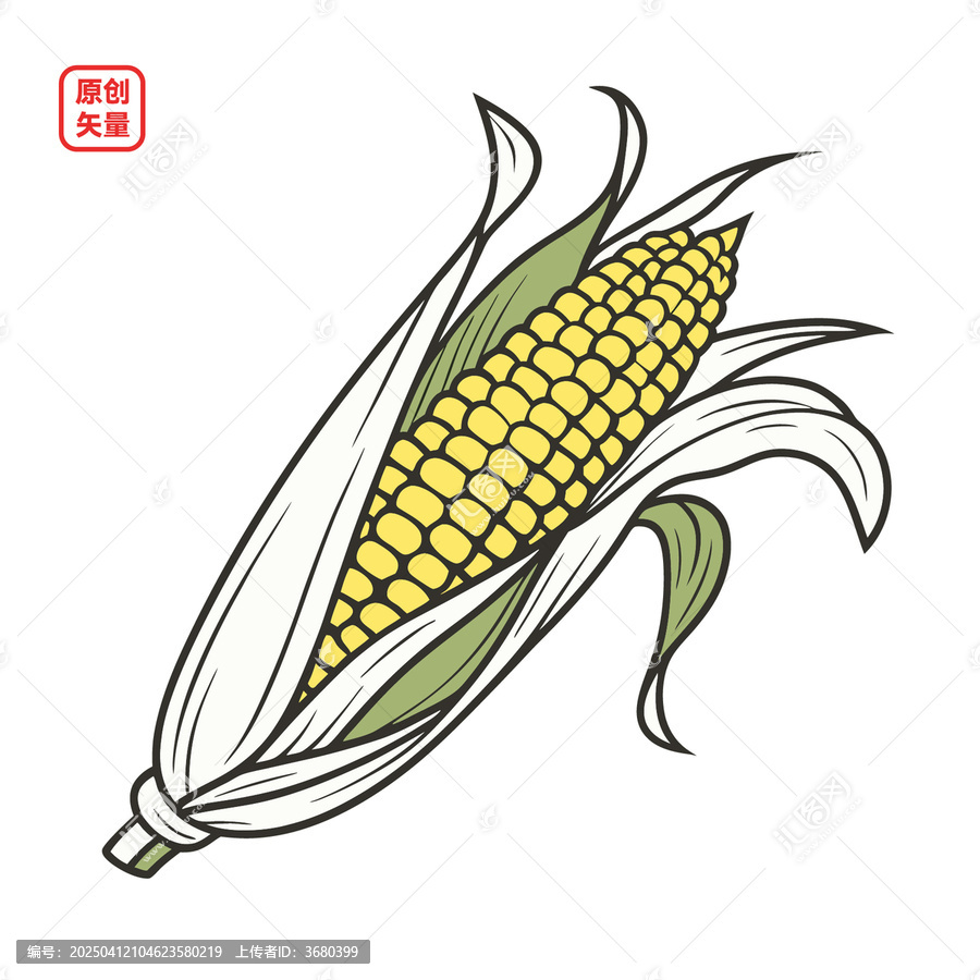 矢量插圖農(nóng)作物成熟玉米