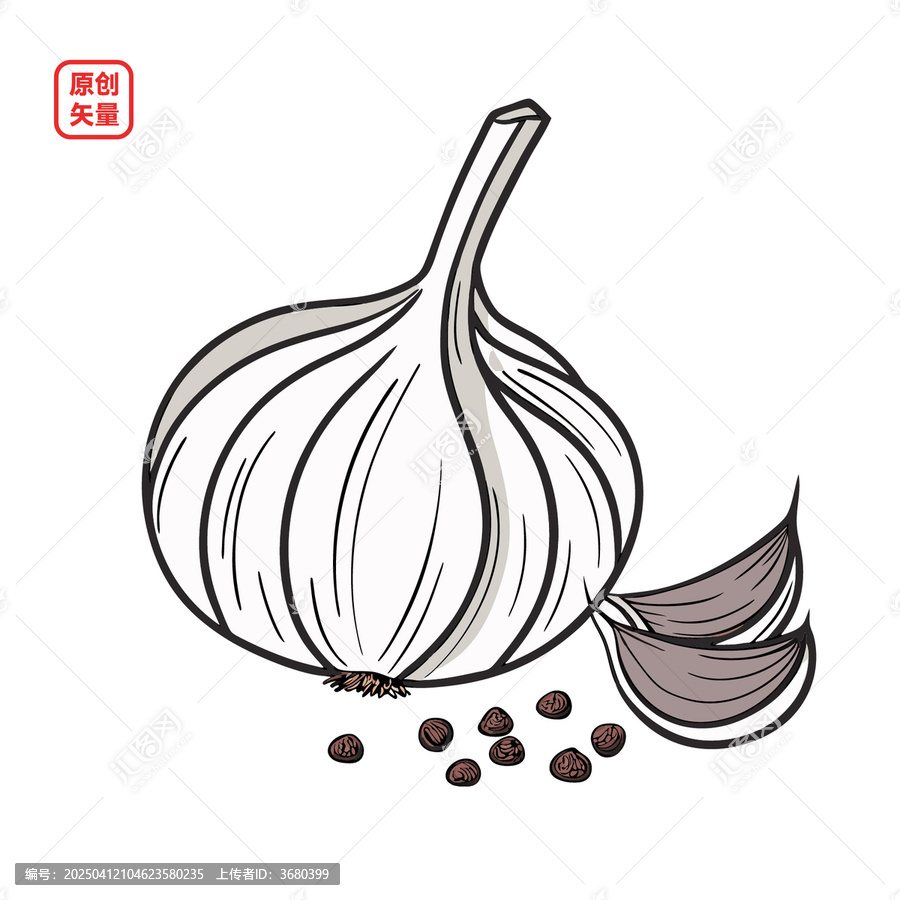 矢量插圖蔬菜調味品大蒜