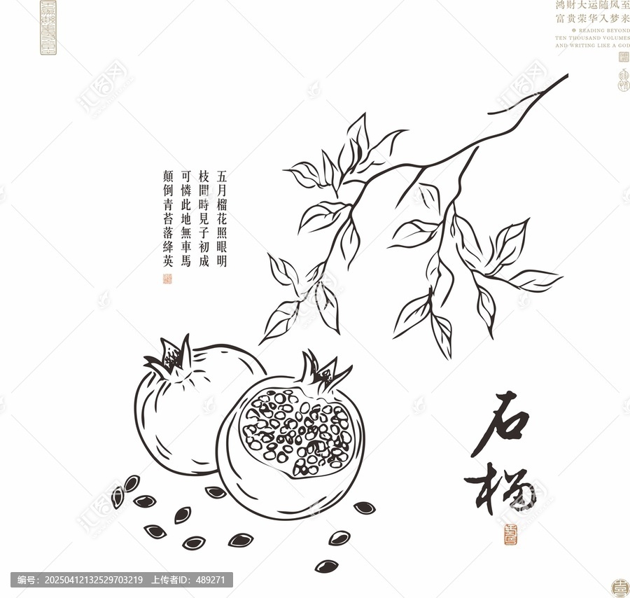 石榴線描圖石榴白描圖