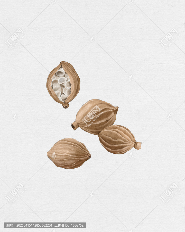 砂仁果