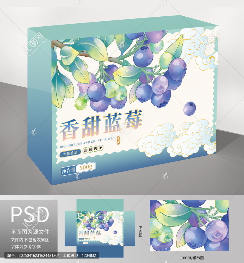 手繪藍(lán)莓插畫水果包裝系列