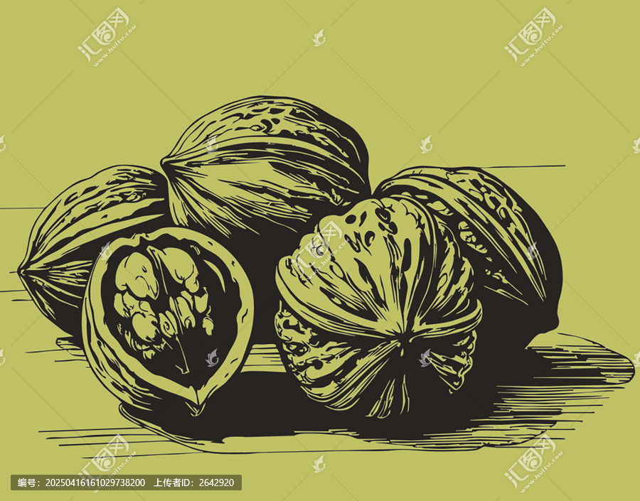手繪核桃