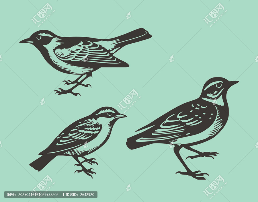 手繪鳥