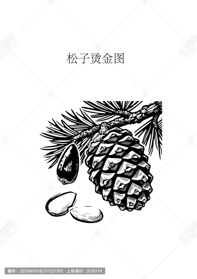 松子燙金版