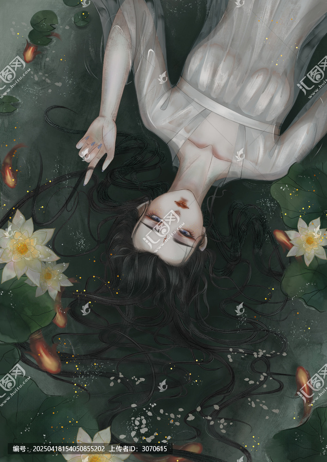 出水芙蓉