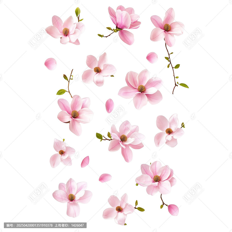 [免摳素材]粉嫩花朵的春季花卉
