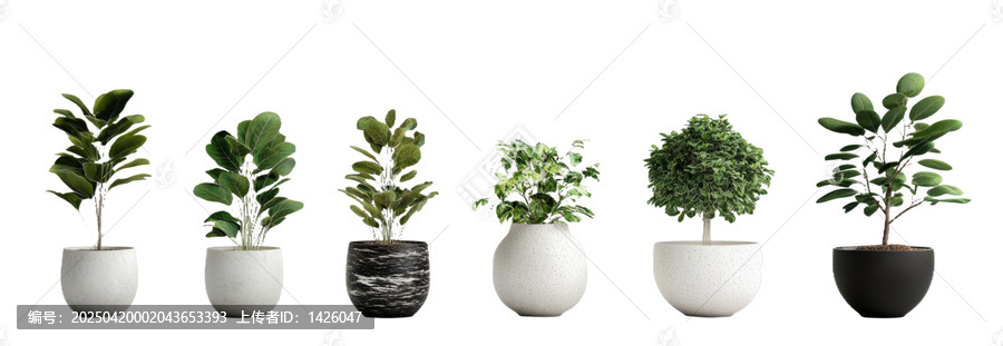 [免摳素材]各種花盆中擺放室內(nèi)植物的布置