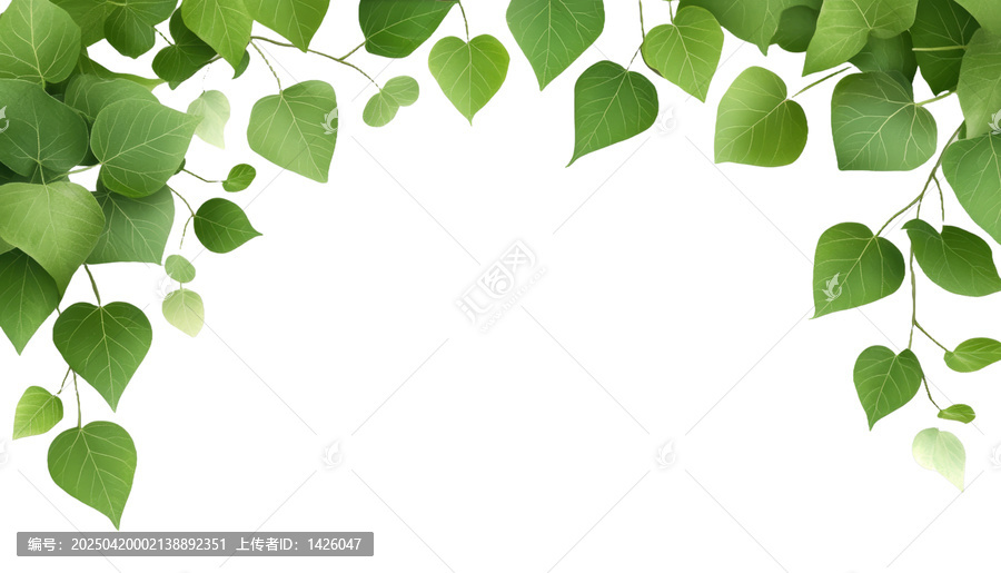[免摳素材]綠色葉子邊框設(shè)計