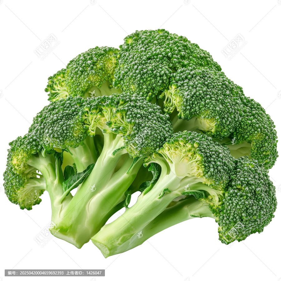 [免摳素材]新鮮西蘭花特寫