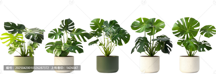 [免摳素材]盆栽綠植組合擺放