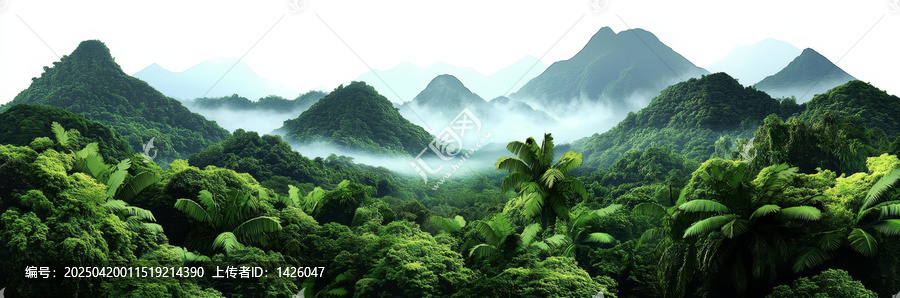 云霧繚繞的雨林山景