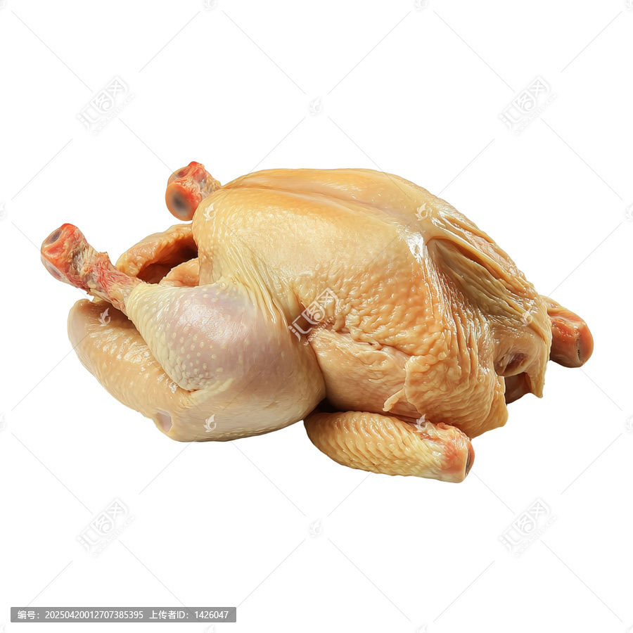 [免摳素材]新鮮的整只雞肉食材