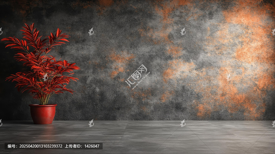 空曠房間的紅植栽與斑駁墻面