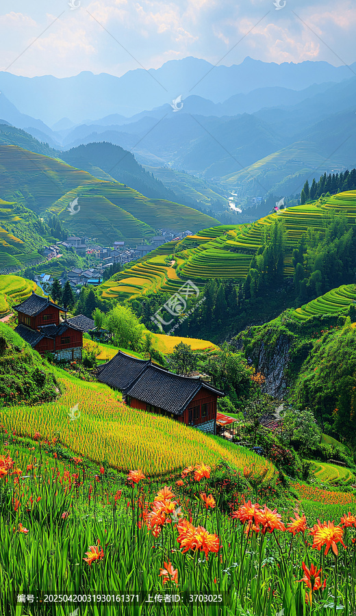 山間梯田春景